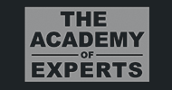 The Academy Of Experts